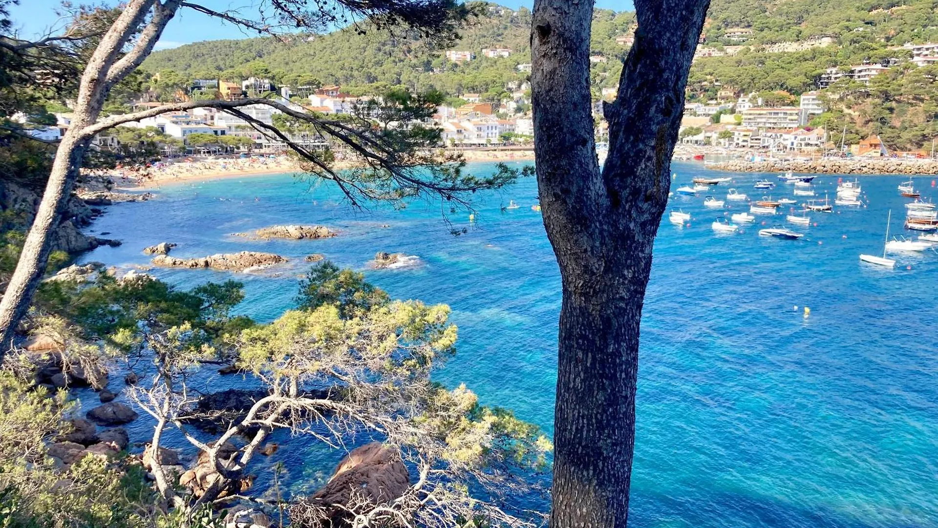 Villa Care Pl - Llafranc 0*,  Spain